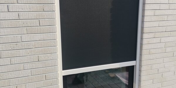 IMG_20240129_102130.jpg